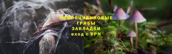 гидропоника Наволоки