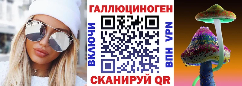 Псилоцибиновые грибы мицелий  Новоалександровск 